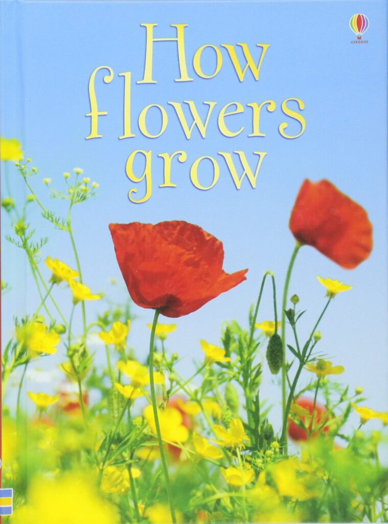 How Flowers Grow (Usborne Beginners) – AppuWorld